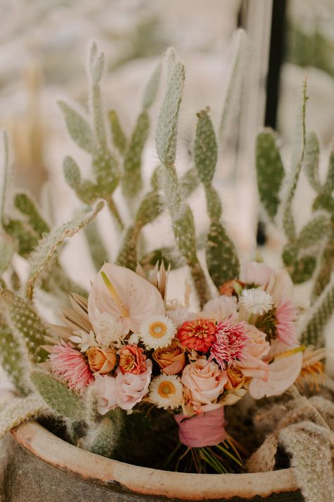 Joshua Tree Theme Party, Rustic Desert Wedding, Bohemian Airbnb, Spring Desert Wedding, Desert Wedding Decor, Showcase Ideas, Desert Spring, Shower 2023, Desert Bride