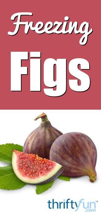 Recipes For Figs, What Can I Do With Fresh Figs, Frozen Fig Recipes, How To Use Fresh Figs, Freezing Figs, Freezing Fresh Figs, How To Freeze Figs, Fresh Frozen Fig Recipes, How To Freeze Fresh Figs