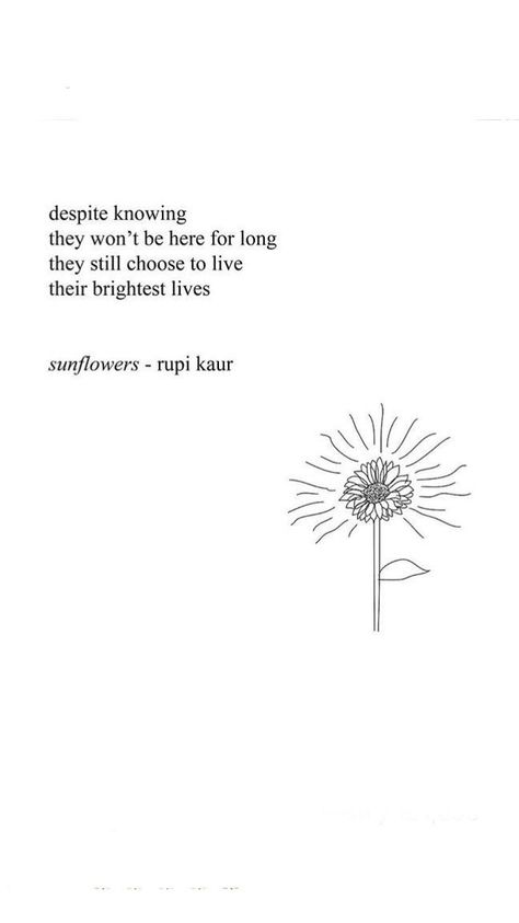 Sunflowers rupi kaur Rupi Kaur Quotes, Tattoo Sunflower, Sunflower Quotes, Rupi Kaur, Quotes Poetry, Blog Site, Flower Quotes, Trendy Quotes, Poem Quotes