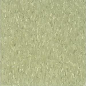 Armstrong Imperial Texture VCT 12 in. x12 in. Little Green Apple Standard Excelon Commercial Vinyl Tile (45 sq. ft. / case) 51866031 at The Home Depot - Mobile Vct Flooring, Vct Tile, Armstrong Flooring, Vinyl Tile Flooring, Apple Chips, Resilient Flooring, Floor Ideas, Green Flooring, Vinyl Tiles