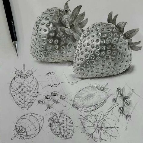 Strawberries Drawing, Fruit Art Drawings, Structural Drawing, Perspective Art, Art Drawings Sketches Pencil, 캐릭터 드로잉, It Is, Pencil Art Drawings, Fruit Art