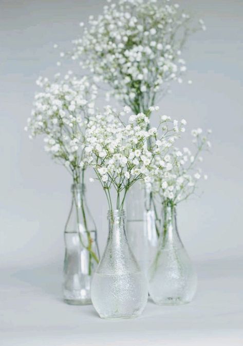 Simple Babysbreath Centerpieces, Eucalyptus And Babysbreath Wedding, Babies Breath Bud Vases Wedding, Flower Vase Table Decor, Baby’s Breathe Centerpieces, Baby's Breath Bud Vase, Wedding Table Baby Breath, Diy Babybreath Centerpiece, Eucalyptus And Baby Breath Wedding