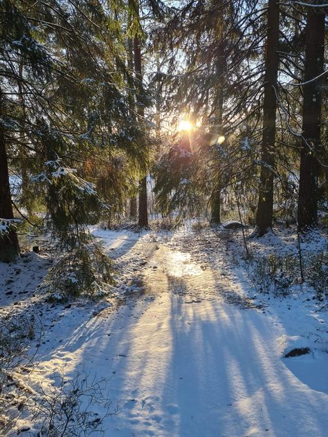 Winter Sunshine, Dark Naturalism, Sunny Winter, Arctic Tundra, Spring Snow, Winter Sunrise, Winter Sky, Winter Love, Christmas Feeling