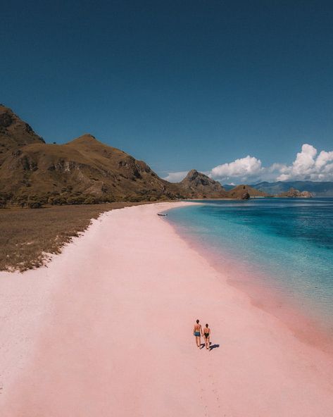 Tour Group Travel, Padar Island, Komodo Dragons, Komodo National Park, Komodo Island, Pink Sand Beach, Pink Beach, Island Tour, The Number 1