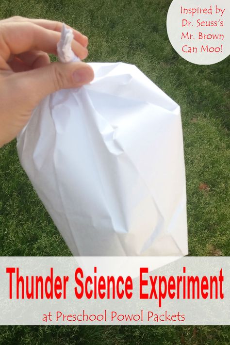 Here is a quick inspired-by-Dr. Seuss thunder science experiment! Perfect for preschool, kindergarten, and even older kids--who can make the best thunder?! Weather Lesson Plans, Weather Experiments, Weather Activities Preschool, Weather Activities For Kids, Weather Lessons, Preschool Weather, Weather Crafts, Weather Projects, Weather Science