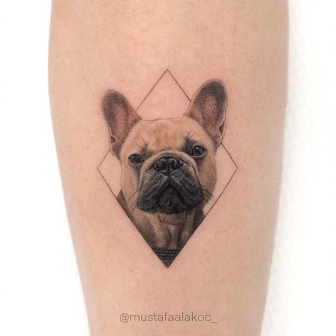 Dog tattoo pet tattoo Tattoo French, Tattoo Pet, French Bulldog Tattoo, Bulldog Tattoo, 40k Followers, Dog Tattoo, Animal Tattoos, Tattoo Artist, Cute Puppies