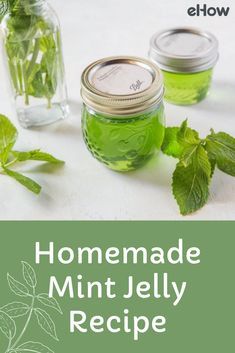 Canning Mint Jelly, How To Make Mint Jelly, Mint Infused Honey, How To Preserve Fresh Mint Leaves, Mint Jelly Uses, Mint Jam Recipe, How To Use Fresh Mint, Things To Do With Fresh Mint, Recipes Using Mint Leaves