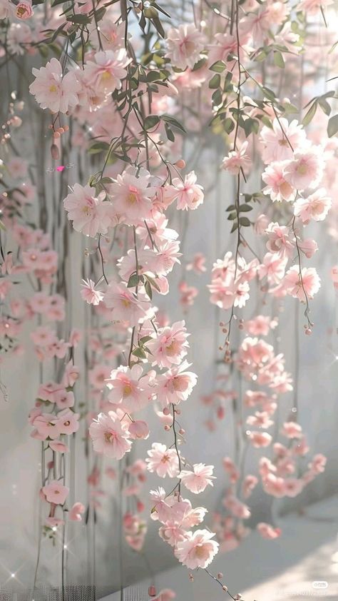 헬로키티 배경화면, Corak Bunga, Flowers Photography Wallpaper, Wallpaper Flower, Floral Wallpaper Phone, Tapeta Galaxie, Pretty Phone Wallpaper, Simple Phone Wallpapers, Lovely Flowers Wallpaper