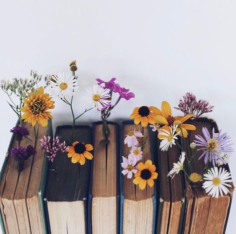 An Open Book, Bookstagram Inspiration, Book Flowers, Images Esthétiques, Open Book, Foto Inspiration, Book Photography, Book Aesthetic, Aesthetic Photography