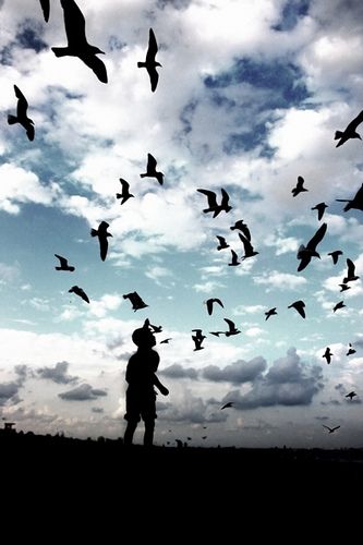 Love Silhouette, Shadow Silhouette, Silhouette Photography, Flock Of Birds, A Hill, Birds Flying, Sky Photography, Beautiful Photography, Amazing Photography