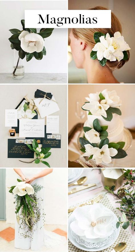 The Ultimate List Of Spring Wedding Flowers Every Bride Needs To See: Any southern brides having Spring weddings will love the fact that magnolias are in bloom and will make a stunning addition to any part of your wedding! Dogwood Wedding Flowers, Peony And Magnolia Bouquet, Magnolia Wedding Decor, Magnolia Wedding Theme, Sultry Wedding, Magnolia Flower Wedding, Magnolia Wedding Flowers, Magnolia Bouquet, Wedding Flower Guide