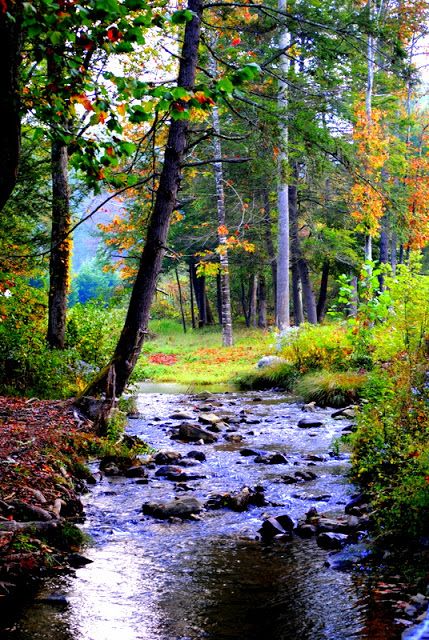 Tennessee Landscape, Land Scapes, Forest Sunset, Mountain Lakes, Earth Surface, Scenery Pictures, Autumn Scenes, Autumn Scenery, Appalachian Trail