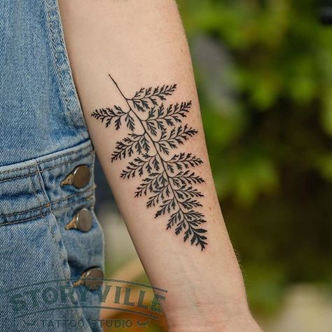 Tattoo Fern, Trend Tattoos, Fern Care, Fern Tattoo, Forearm Band Tattoos, Inner Forearm, Traditional Office, Delicate Tattoo, Botanical Tattoo