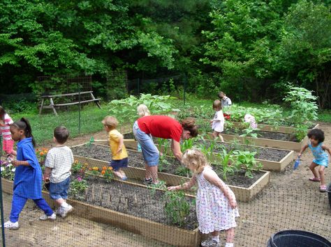 We're lucky parents; the moment spring arrives, our kids are ready and raring to get outside and enjoy the warm sun and the nice weather. Now, they're not Kids Vegetable Garden, Learning Garden, Service Projects For Kids, Community Service Ideas, Community Service Projects, Garden Activities, Growing Gardens, Spring Family, Natural Playground