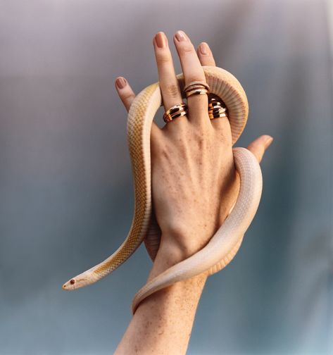 Sculptural Accessories That Are True to Form - The New York Times Holding Snake, Snake Painting, Stile Harry Potter, Hand Photography, Snake Art, Pet Snake, Hand Reference, T Magazine, A Snake