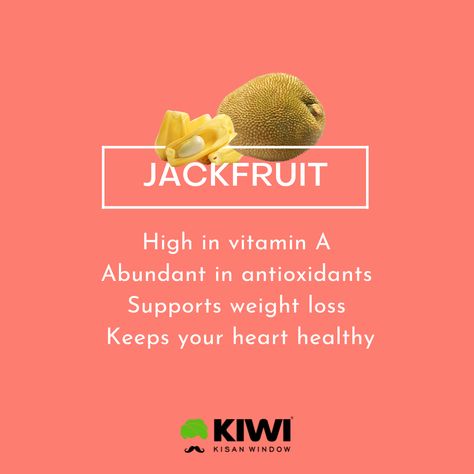 Jackfruit contains vitamin A in abundance. Including jackfruit in your regular diet can help you lose weight & strengthen your heart as well. #organic #healthyfood #food #healthy #health #natural #nutrition Benefits Of Jackfruit, Jackfruit Benefits, Jackfruit Seeds, Lotus Rangoli, Fruit Health, Did You Know Facts, Organic Products, Food Healthy, Vitamin A