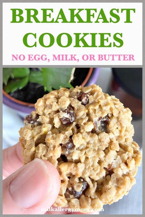 Wheat Free Snacks, Easy Breakfast Cookies, Gluten Free Dairy Free Breakfast, Milk Allergy Mom, Egg Free Desserts, Egg Free Breakfast, Egg Free Cookies, Dairy Free Pancakes, Allergen Free Recipes