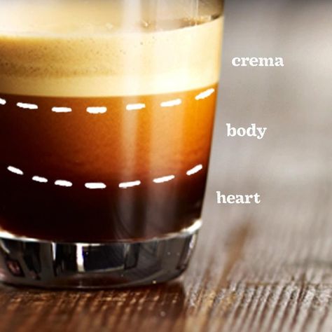 Anatomy of the perfect espresso shot. Resep Smoothie, Americano Coffee, Best Espresso Machine, Coffee Facts, Best Espresso, Espresso Shot, Espresso Martini, Coffee Drinkers, Coffee Company