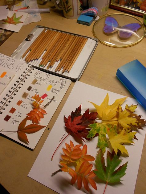 Fall Color Leaf Nature Journal entry for upper grades nature study - taken from The Nature Study Handbook site Fall Leaves Activities, Homeschool Nature Study, Botanical Sketchbook, First Day Of Autumn, Challenges Activities, Fall Things, Art Lessons For Kids, Autumn Crafts, Autumn Nature