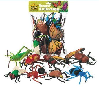 Wild Republic Polybag Insect (Large): Amazon.co.uk: Toys & Games Prey Mantis, Bug Toys, Bug Collection, Stink Bugs, Insect Collection, Bug Art, Montessori School, Bugs And Insects, Educational Toys For Kids