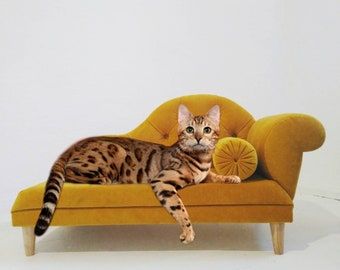 Lounge Chaise, Cat Sofa, Cat Couch, Pet Sofa Bed, Dog Couch, Pet Couches, Cat Lounge, Bed Dog, Dog Sofa Bed