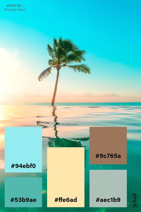 #colorpalette #palette #color #colorscheme #colorswatch #colourpalette #colorinspiration #inspiration #graphicdesign #branding #design #hexcode Hawaiian Colors, Palette Color, Google Calendar, Digital Planning, Color Swatch, Tahiti, Colour Palette, Color Palettes, Color Inspiration