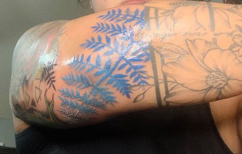 Ombre fern across the elbow. Blue Fern Tattoo Fern Tattoo, Elbow Tattoo, Elbow Tattoos, Blue Fern, Fish Tattoos, Jesus Fish Tattoo, Fern, Tattoos, Blue