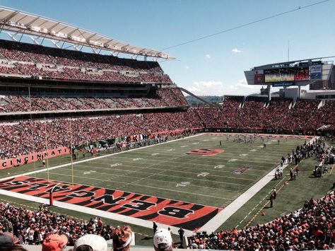 Paul Brown Stadium - Cincinnati - Reviews of Paul Brown Stadium - TripAdvisor Paul Brown Stadium, Paul Brown, Nfl Stadiums, Joe Burrow, Football Stadiums, Cincinnati Ohio, Professional Football, Rec Room, Cincinnati Bengals