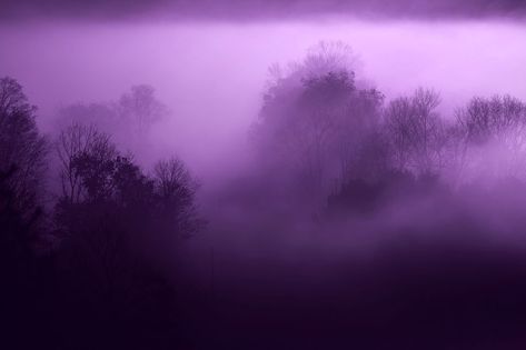 Haze Aesthetic, Photoshop Tutorial Text, Scene Girl, Lavender Aesthetic, Ethereal Aesthetic, Dark Purple Aesthetic, Mazzy Star, Tumblr Boys, Fun Shots