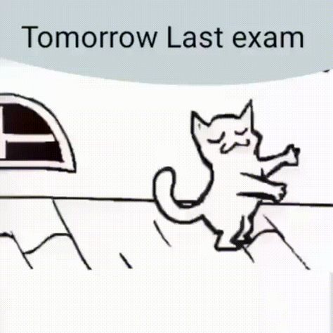 Tomorrow Last Exam, Exam Good Luck Quotes, Exams Memes, Last Exam, School Life Quotes, Exams Funny, Exam Quotes, Exam Quotes Funny, Reality Of Life Quotes