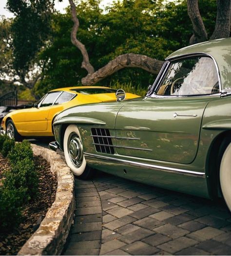 Untitled 300sl Roadster, Mercedes 300sl, Mercedes Sl, Classic Mercedes, Mercedes Benz Classic, Best Classic Cars, Race Engines, Shelby Cobra, Pebble Beach