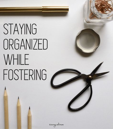 Foster Room Ideas, Foster Care Statistics, Foster Care Binder, Adopting From Foster Care, Foster Care Quotes, Becoming A Foster Parent, Organization Binder, Private Adoption, Foster Kids