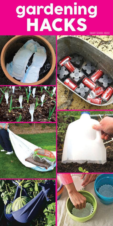 8 Genius Gardening Hacks Gardening Hacks, Garden Types, Diy Gardening, Have Inspiration, Garden Yard Ideas, Veggie Garden, Lawn And Garden, Garden Paths, Herb Garden