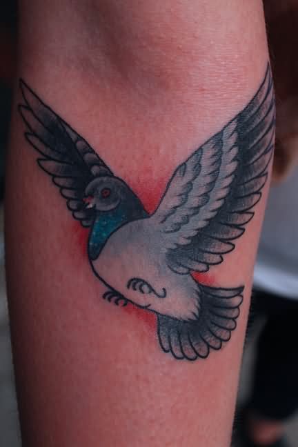 Flying Pigeon Tattoo, Pigeon Tattoo Traditional, White Dove Tattoos, Pigeon Tattoo, Globe Tattoos, Dove Tattoos, Tattoos Pictures, Christ Tattoo, Traditional Style Tattoo