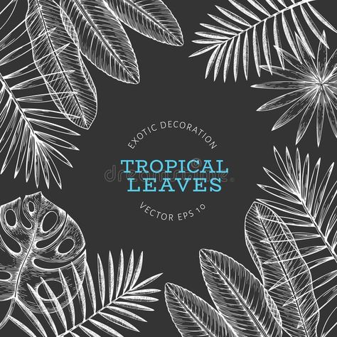 Chalkboard Lettering, Jungle Leaves, Jungle Art, Leaves Illustration, Summer Illustration, Retro Background, Chalk Drawings, Leaves Vector, Tropical Summer