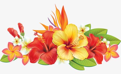 Flower Png Images, Transparent Flowers, Flowers Illustration, Flower Printable, Hawaiian Flowers, Vintage Diy, Flower Border, Flower Clipart, Hibiscus Flower