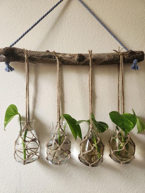 Hanging propagation stations available. Great for clearing up counter space or keeping cuttings away from kiddos or animals. Can be made to order. Crochet Propagation Station, Macrame Propagation Station, Diy Propagation Station, Hygge Crafts, Hanging Propagation Station, Propagation Wall, Hanging Propagation, Plant Ladder, Plants In Jars