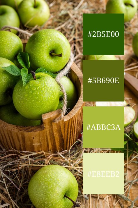 Fresh Green Color Palette hex: A refreshing green color palette is depicted in this image of dewy apples, with bright greens and natural tones creating a lively, farm-fresh atmosphere. Color Combinations Green, Color Scheme Generator, Hex Color, Green Color Palette, Color Design Inspiration, Hex Color Palette, Colour Wheel, Apple Coloring, Green Colour Palette