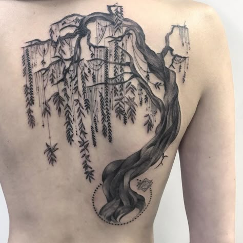 Willow Tree Tattoo On Back, Willow Tree Hip Tattoo, Willow Tree Back Tattoo, Willow Tree Tattoo For Women, Woman Tree Tattoo, Emily Tattoo, Tree Leg Tattoo, Exterior Layout, Willow Tattoo