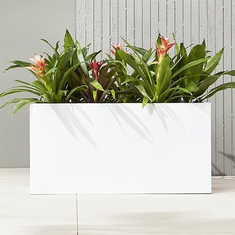 Shop blox large square galvanized hi-gloss white planter.   Brite white planters square up sleek and modern.  Protected for indoor and outdoor settings, hi-gloss lacquered galvanized steel plays up refined industrial to dramatic effect. White Planter Boxes, Outside Planters, Modern Planters Outdoor, Gray Planter, Rectangle Planters, Large Outdoor Planters, Rectangular Planters, Plant Table, Indoor Outdoor Planter