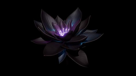 Black Lotus: Magic the Gathering fanart | The Rookies Lotus Logo, Black Lotus, Best Tattoo Designs, Online Group, Best Tattoo, Digital Artists, Magic The Gathering, The Gathering, Body Art