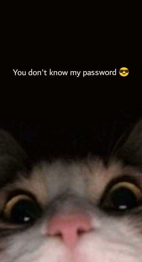 Haha You Dont Know My Password Wallpaper For Ipad, I See You Trying To Get Into My Phone, Why Are You Looking At My Phone, 3d Lockscreen Black, You Dont Know My Password Wallpapers, Cool And Funny Wallpapers, Don't Touch My Phone Wallpapers Cute, Funny Screen Savers, V Funny