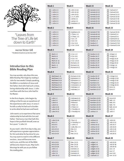 <3 1 Year Bible Reading Plan 2023, 30 Day Bible Reading Plan For Beginners, 1 Year Bible Reading Plan 2024, 2024 Bible Reading Plan, Read The Bible In A Year Plan, Bible In A Year Plan, Bible Reading Plan For Beginners, One Year Bible Reading Plan, Chronological Bible Reading Plan