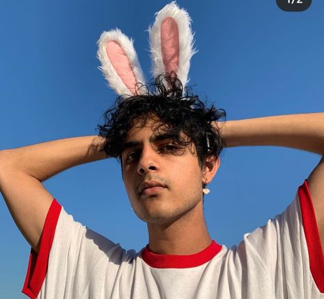 Curtis Waters, Cute Bunny, The Fool, Instagram Photos, Photo And Video, Instagram Photo, Quick Saves, Instagram