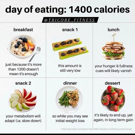 What Does 400 Calories Look Like, Cut Weight Meals, High Protein Day Of Eating, 400 Calorie Meals High Protein, 140 Grams Of Protein Meal Plan, 50 Grams Of Protein Meals, Calories Deficit, 1400 Calorie Diet, 1400 Calorie Meal Plan