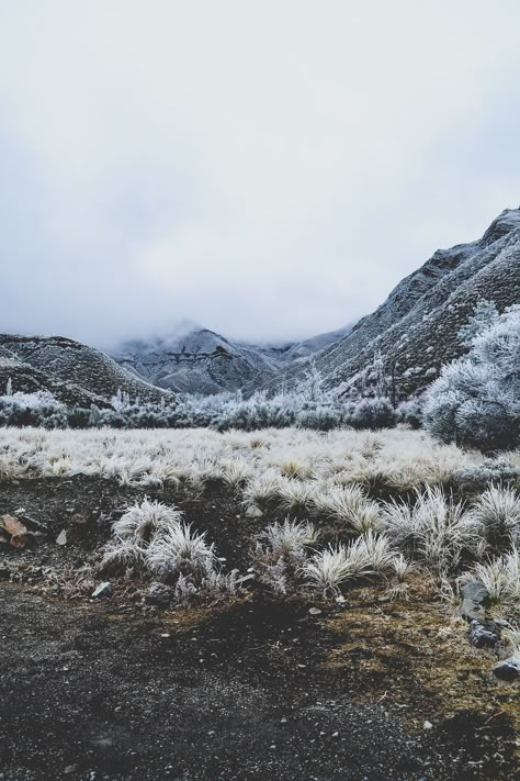 matialonsorphoto:  By matialonsor Cold Desert Landscape, Cold Desert, Wild At Heart, Meadow Garden, To Infinity And Beyond, Goa, Nature Travel, Land Scape, Pretty Places