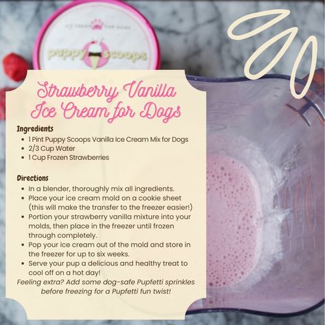 We are feeling the heat wave this week and that calls for ice cream! Your dog can enjoy a chilly treat too with this fun and easy recipe 🍓🍦 Swipe for the full directions to make your own Strawberry Vanilla Ice Cream Dog Treats! 🍨Puppy Scoops Vanilla Ice Cream for Dogs ➡ https://tinyurl.com/PuppyScoopsVanillaIceCream #IceCream #Dogs #Puppy #DogTreat #Recipe #DIY #Strawberries #HeatWave #StayCool #PuppyScoops #Vanilla #CoolOff #Summer #Treat Strawberry Vanilla Ice Cream, Ice Cream For Dogs, Cream Dog, Ice Cream Mix, Dog Ice Cream, Puppy Cake, Insta Feed, Frozen Strawberries, Dogs Puppy