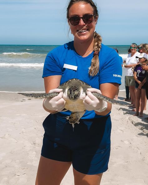 TWO SEA TURTLES WENT HOME YESTERDAY 🌊 Two of the patients that @sea_turtle_hospital_at_whitney was caring for finally made their way back home to the ocean, Zero and Luca, and I got to escort Zero back to the sea! Zero was found in a freshwater retention pond, and was rehabbed at the Sea Turtle Hospital while trying to re-acclimate her to ocean salinity. While in our care, she was treated for FP tumors and was successfully reacclimatized to ocean salinity. Luca was another patient who was ... Sea Turtle Rescue, Sea Turtle Volunteering, Turtle Conservation Aesthetic, Retention Pond, Sea Turtle Plastic Pollution, Turtle Carrying The World, Way Back Home, Turtle Conservation, Sea Travel