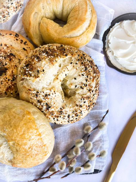 Sourdough Discard Bagels, Discard Bagels, Sourdough Bagel, Bagels Recipe, Sourdough Bagels, Bagel Toppings, Discard Recipes, Bagel Recipe, Sourdough Discard