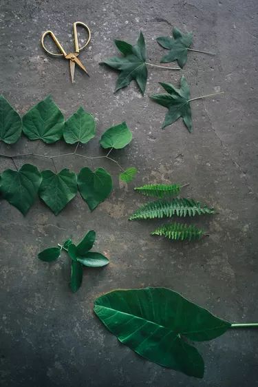 How To Preserve Leaves, Leaf Art Diy, Pressed Flowers Diy, Framed Leaves, Framed Plants, Pressed Flower Crafts, Real Leaves, Leaf Crafts, Dry Plants